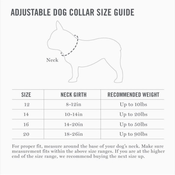 NWT MARTHA STEWART ADJUSTABLE
NYLON DOG COLLAR gray. Size 14 (neck 10-14”) - Picture 6 of 8